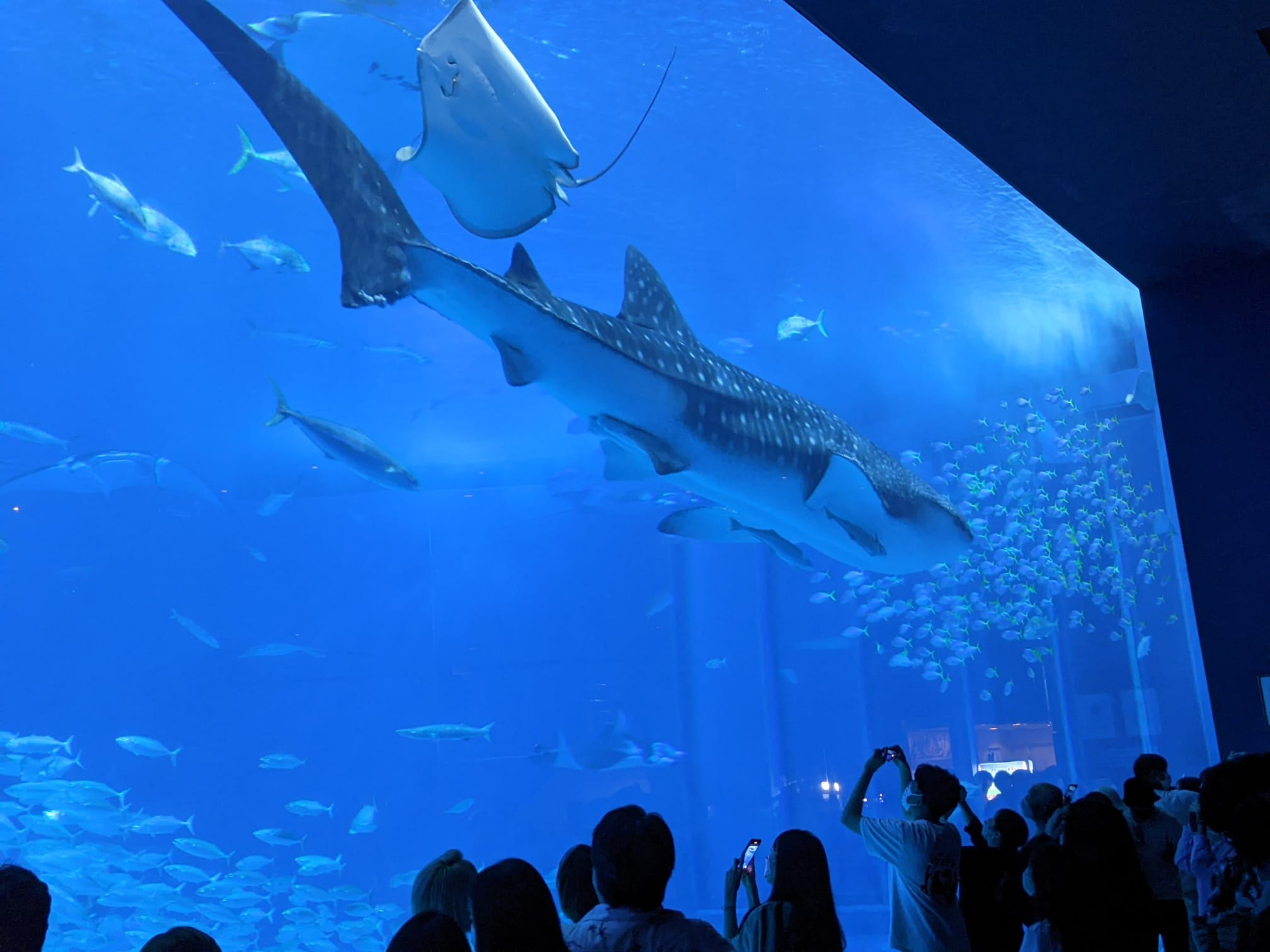 IMG 20221105 WA0002